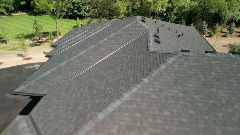 Best Steel Roofing  in Dland, MI