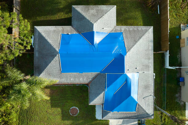 Best Chimney Flashing Repair  in Dland, MI
